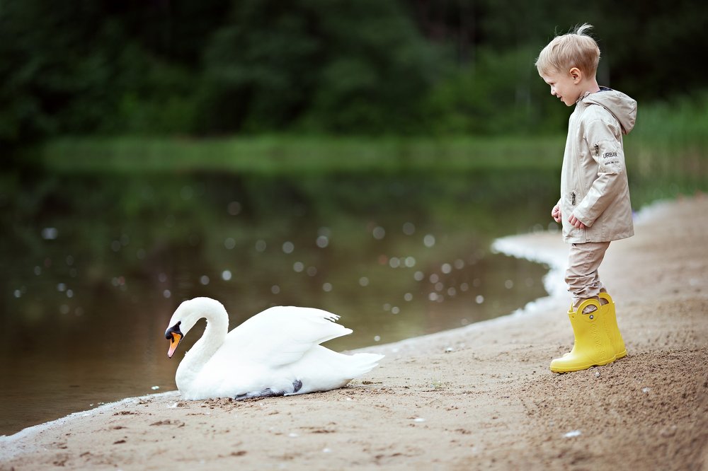 Photograph by Татьяна Шурнова