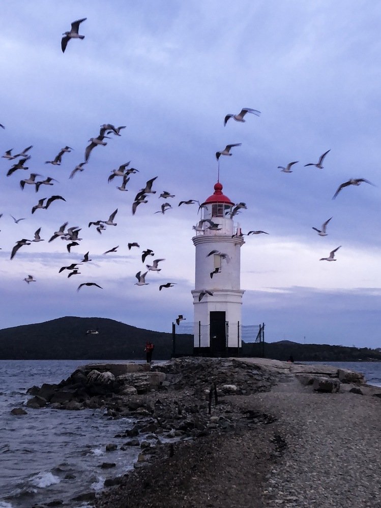 Photograph by Kaiser Sozo