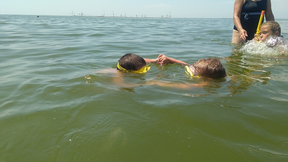 Photo #3723334