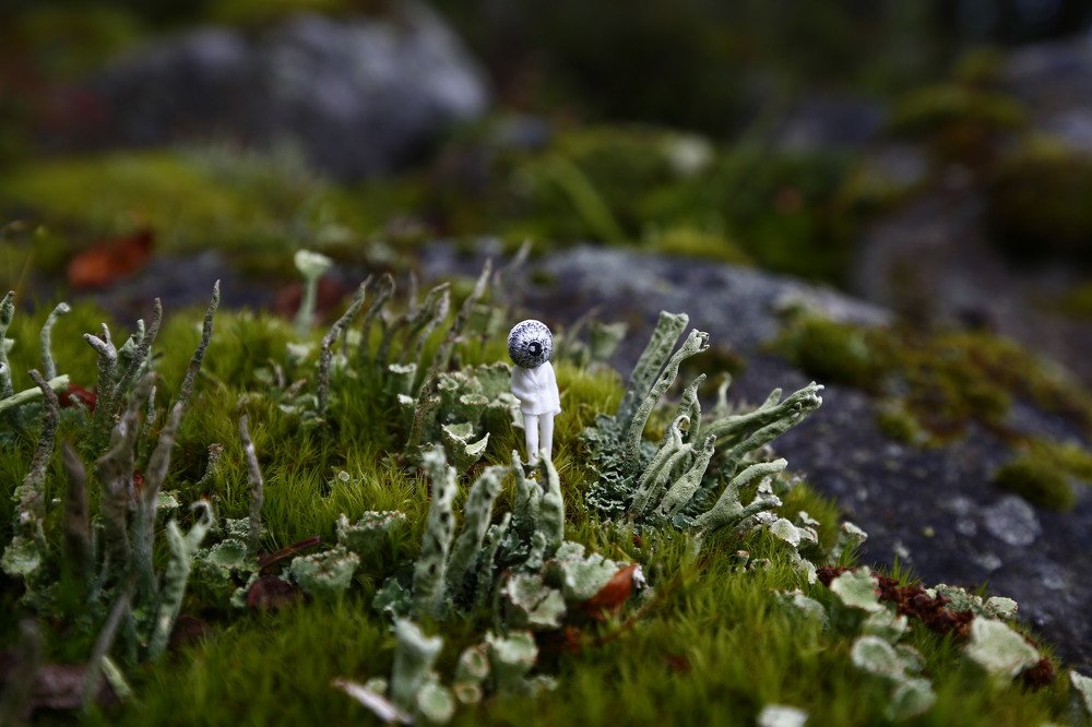 Нечто в Карелии