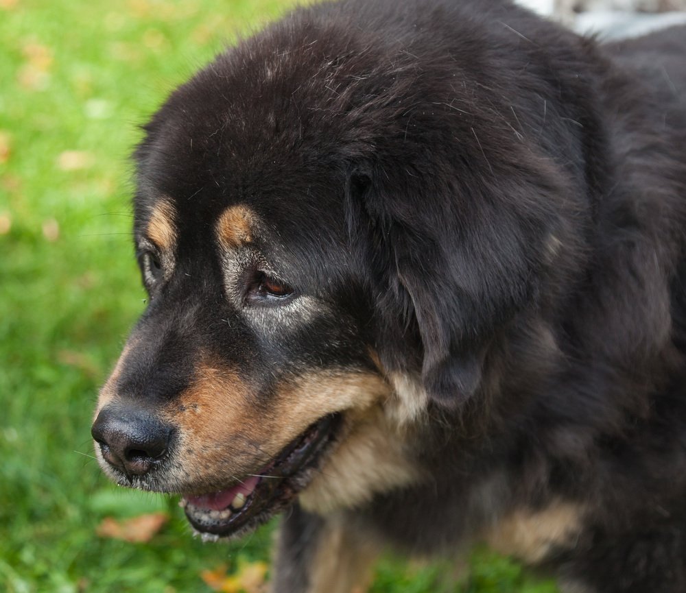 Photograph by juri kutukov