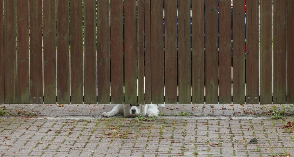 Photograph by juri kutukov