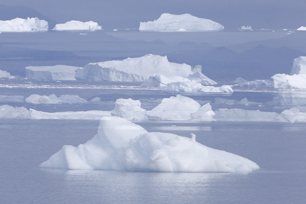 сны айсбергов