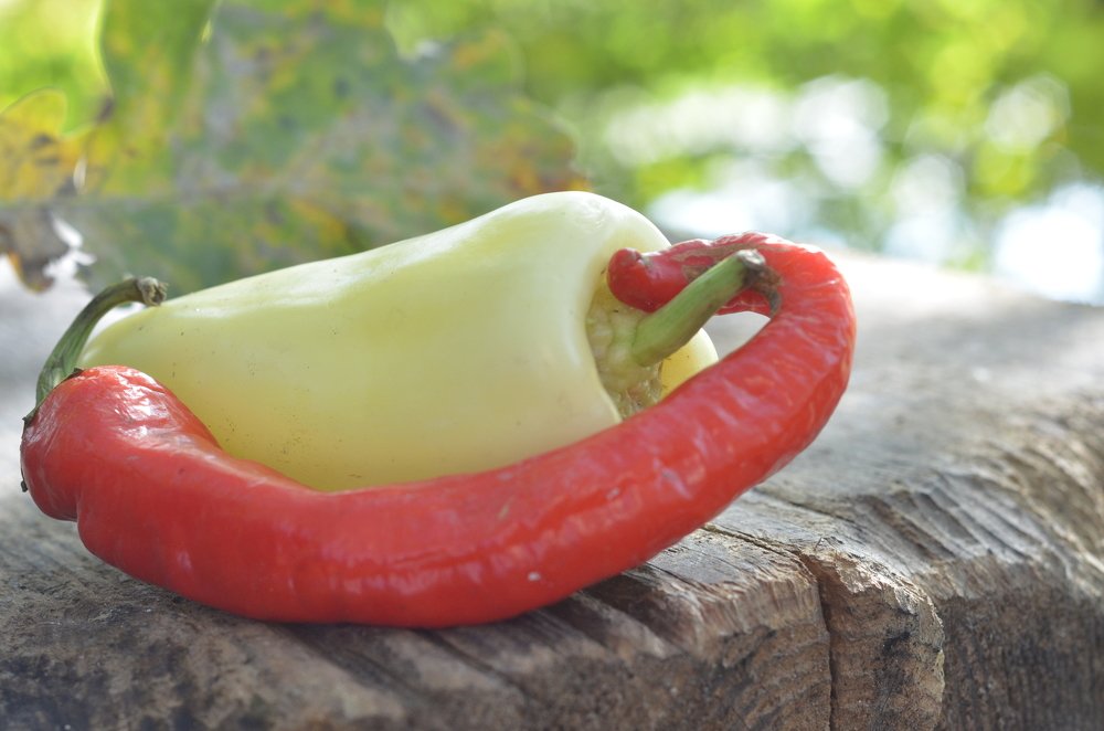 Фотография автора Владимир Брызгунов