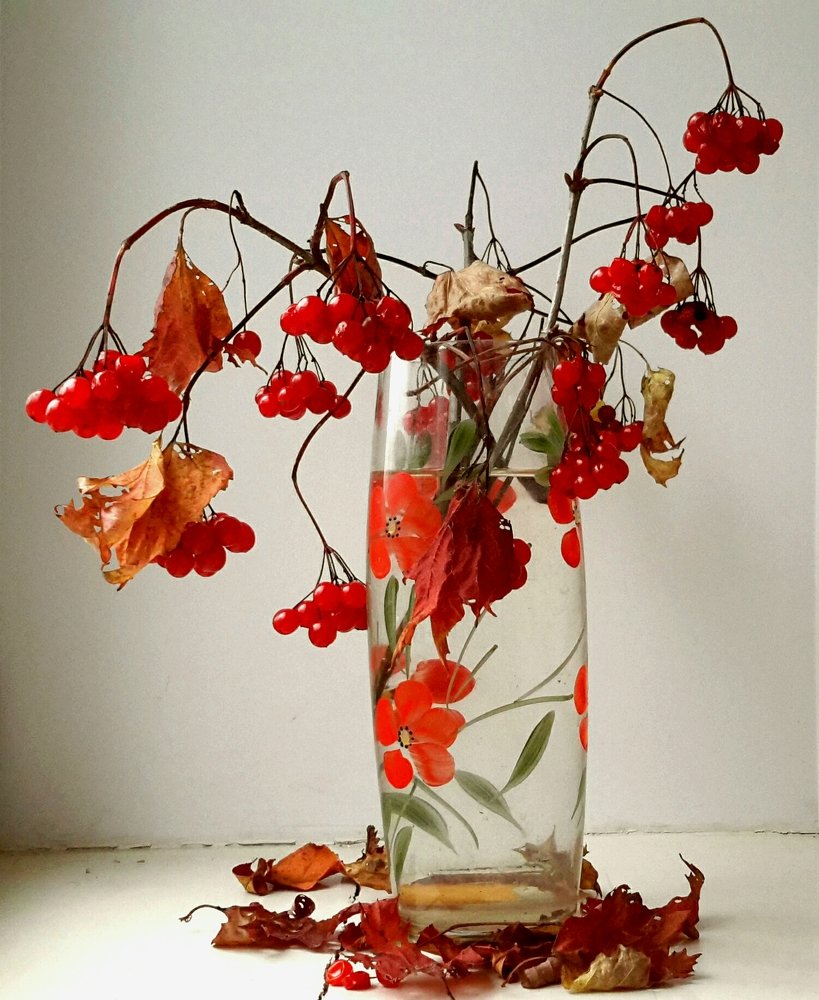 Гроздья калины