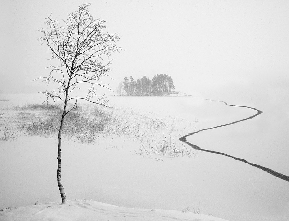 Фотография автора Евгений Корниенко