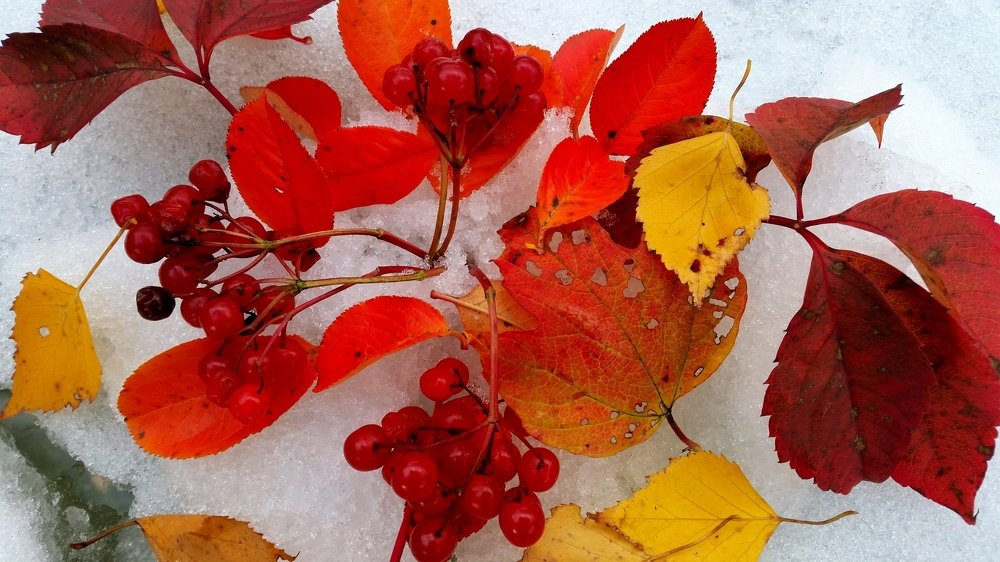 Photograph by Борис Каширин