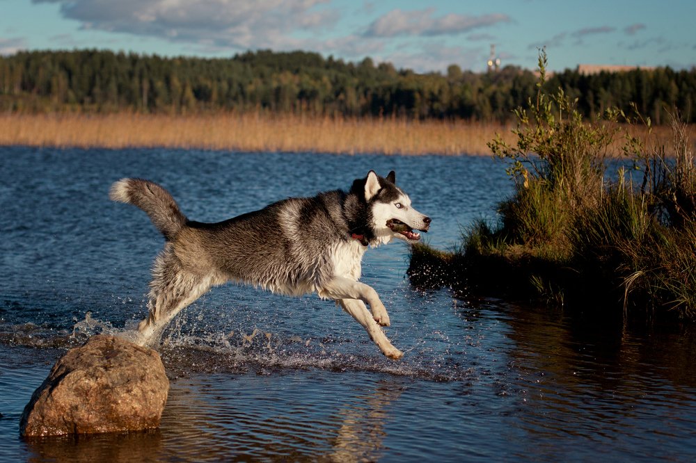 Photograph by Ксения Яруш