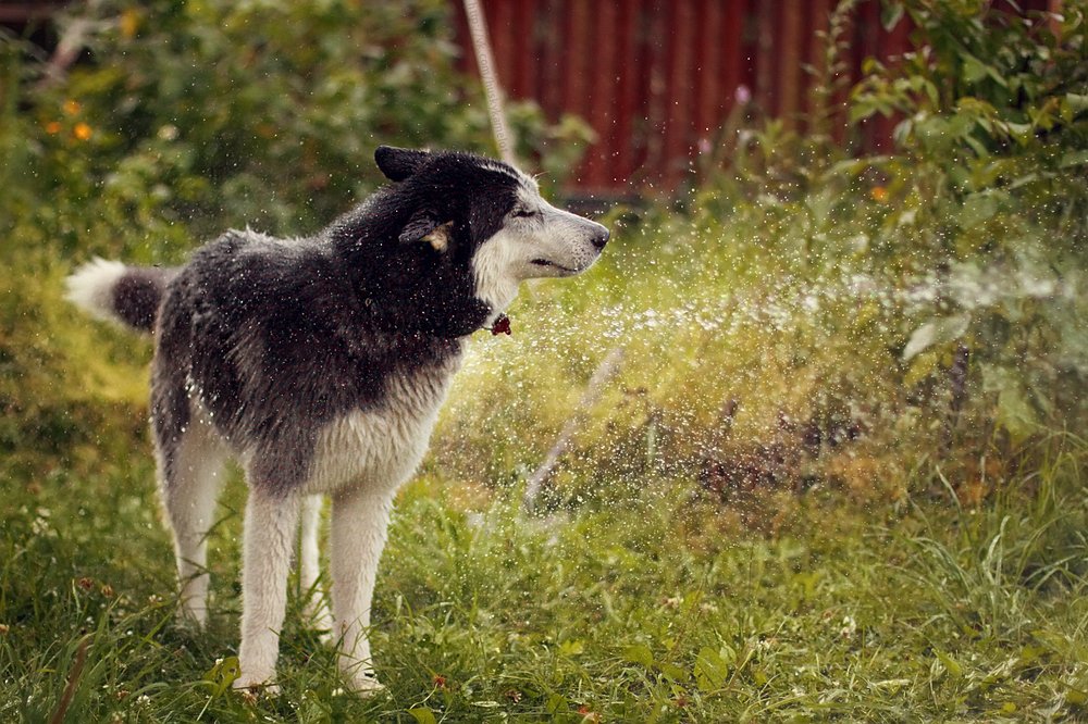 Photograph by Ксения Яруш