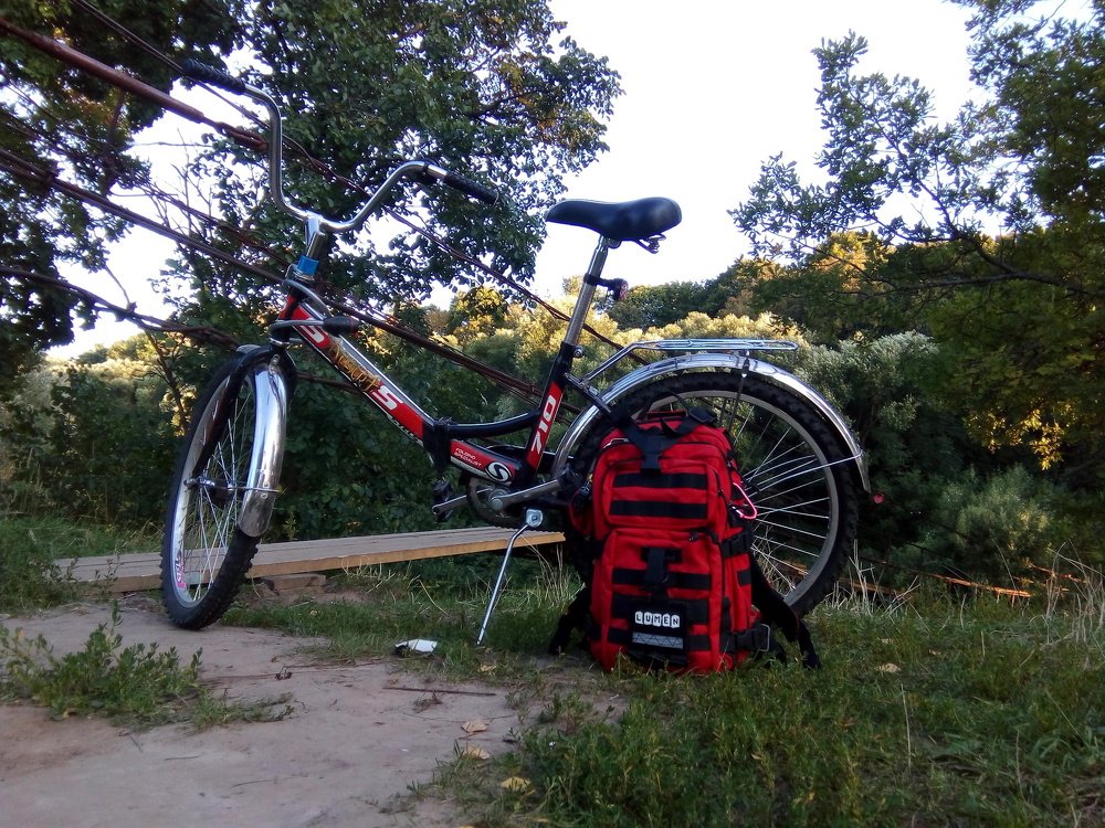 Photo #3723615