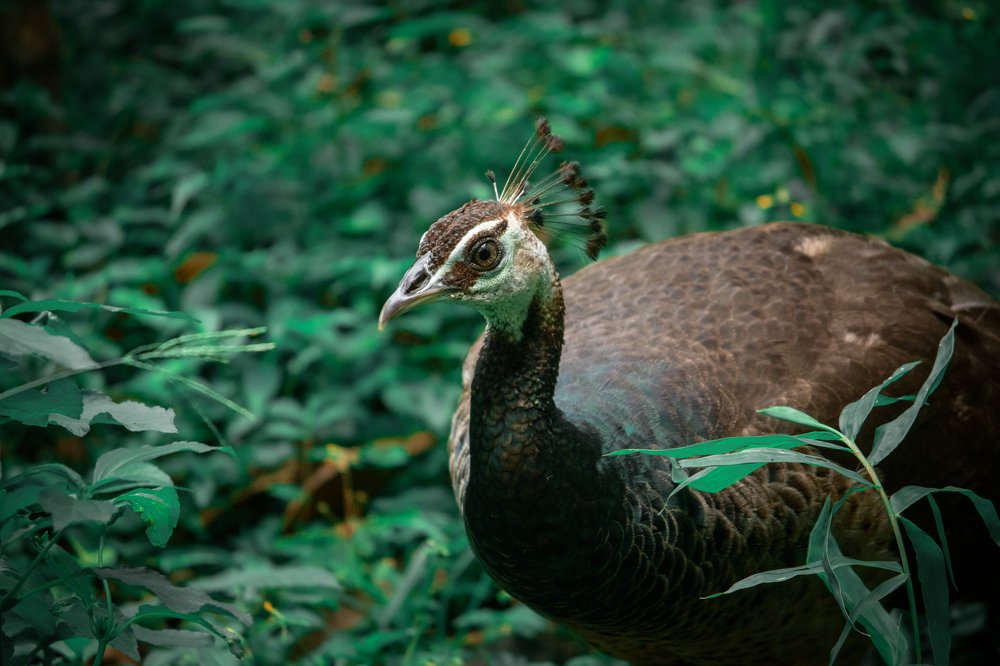 Eyes locked in your beauty