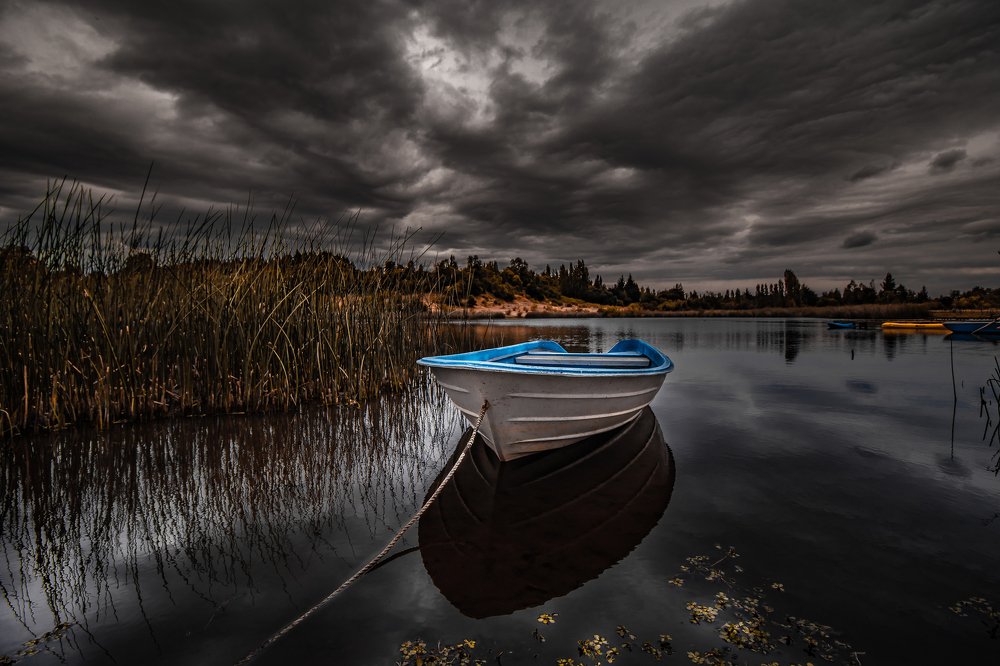 Photograph by Rodrigo Alexis Friz Manosalva