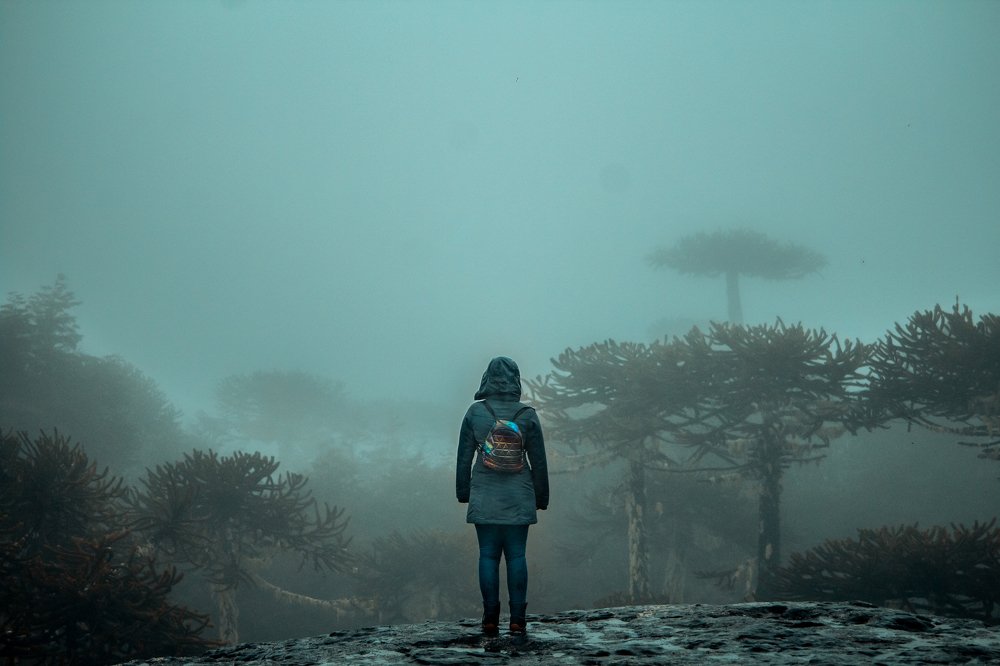 Gigantes de la Araucanía