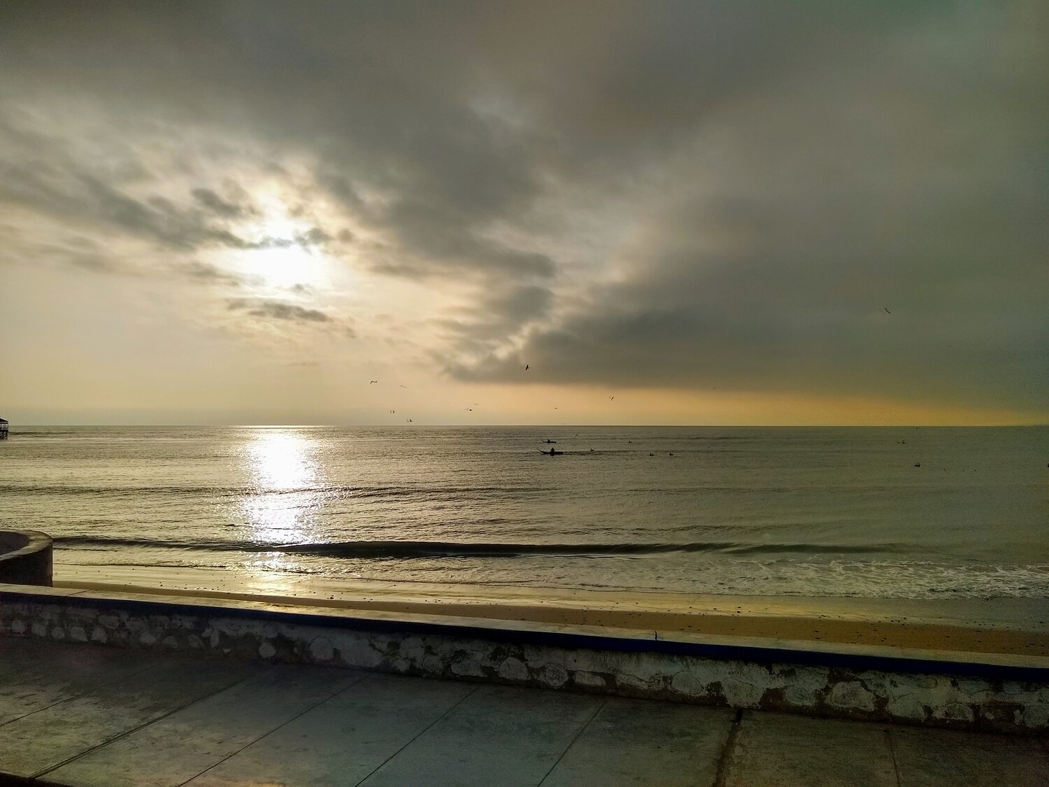 Photo #3723739