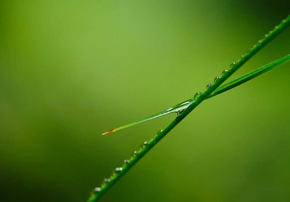 Photograph by Ольга Ситникова