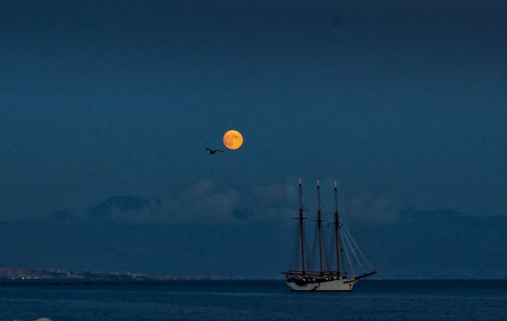 Photograph by Sax Palumbo