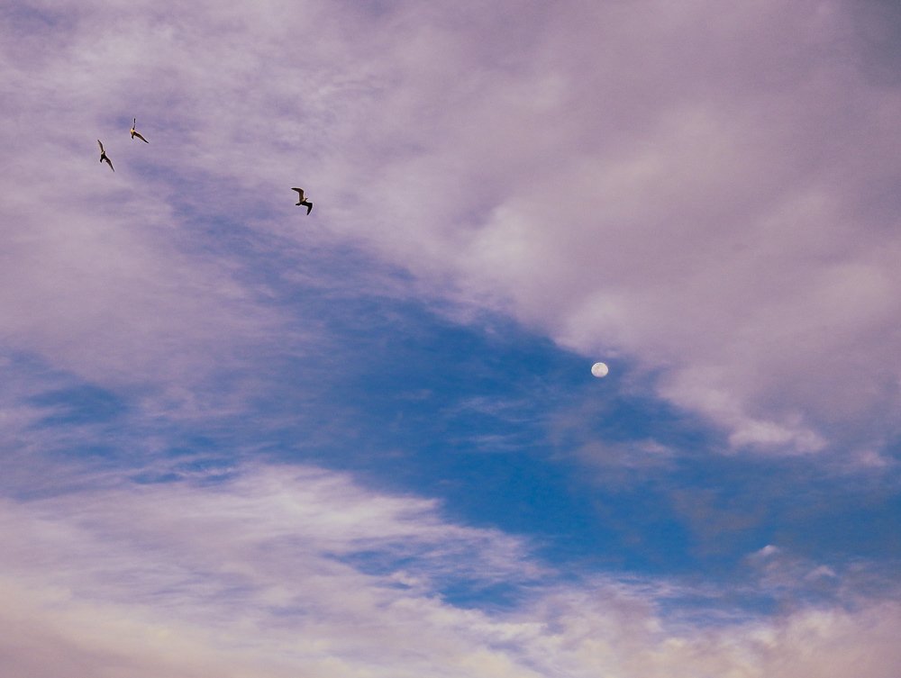 Фотография автора Gabriela Bonilla