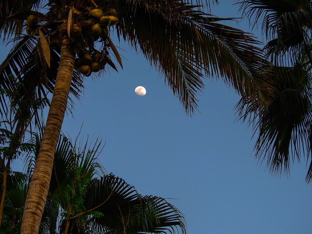 Фотография автора Gabriela Bonilla