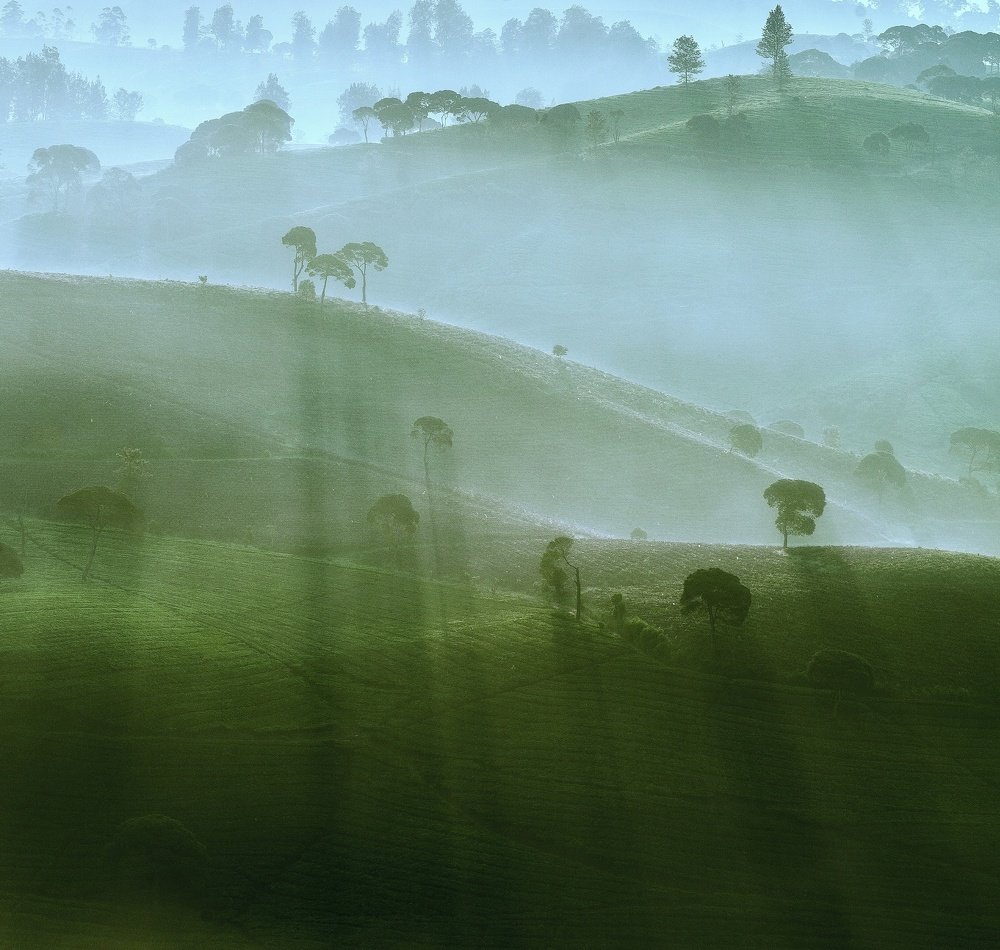 Photograph by lia indriani