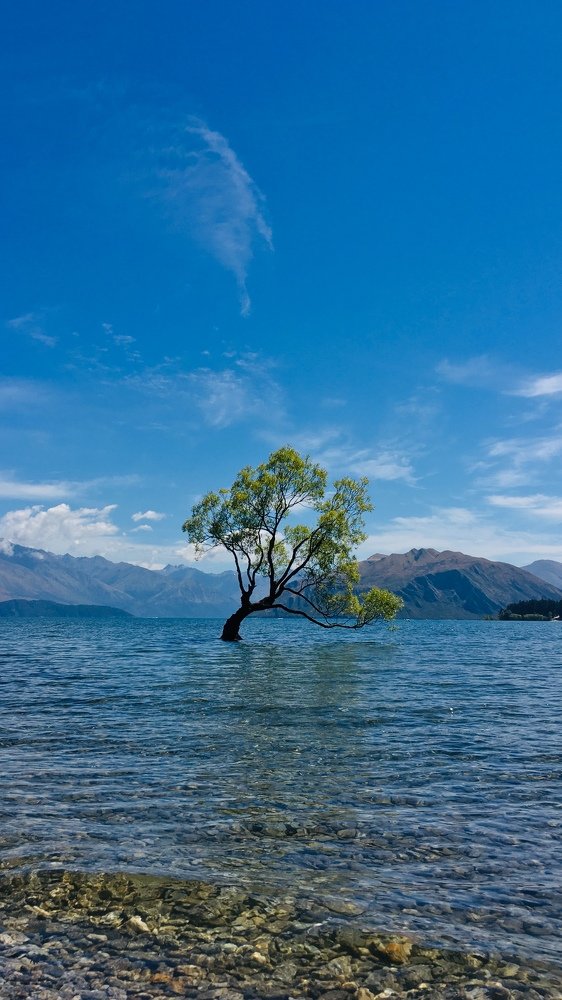 Earth sea and sky together