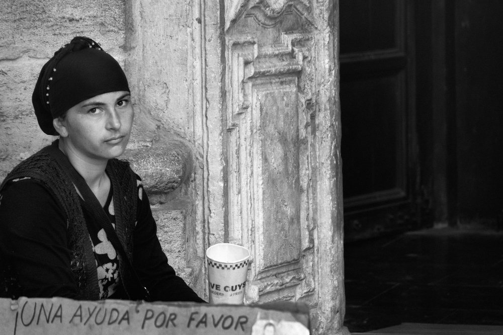 Фотография автора soo mui loh