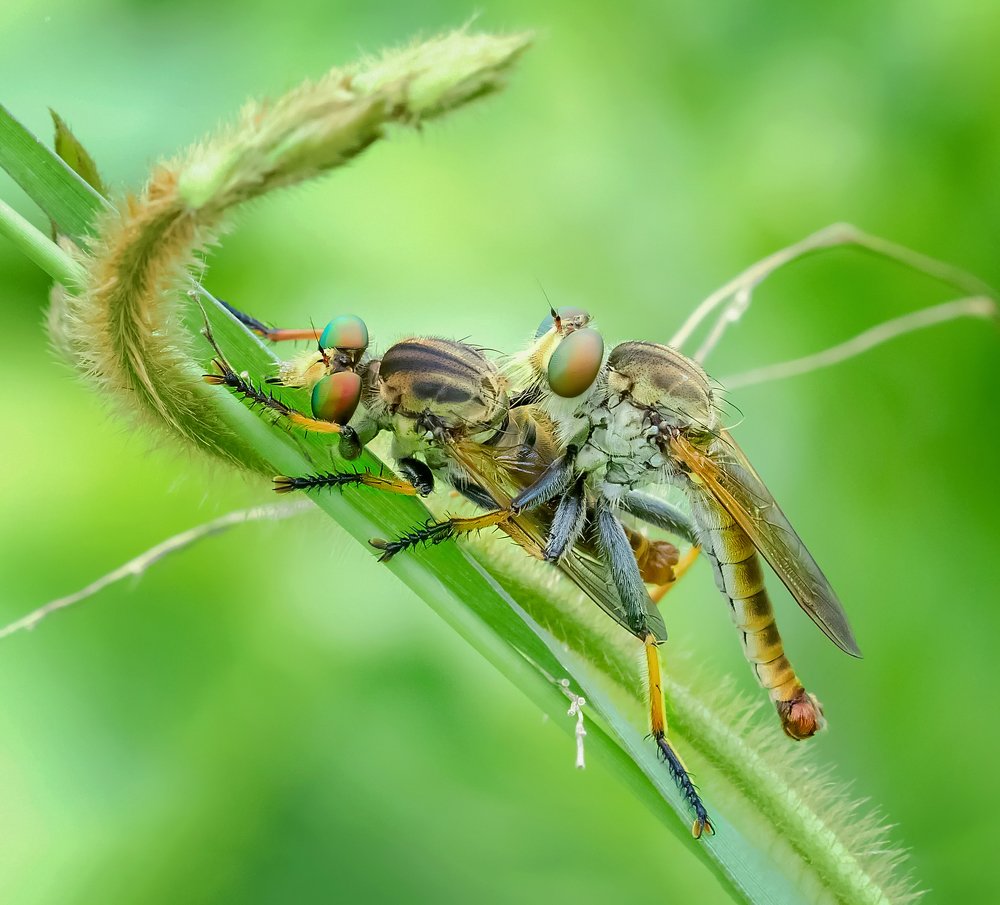 Photograph by TIAN CHING TAN