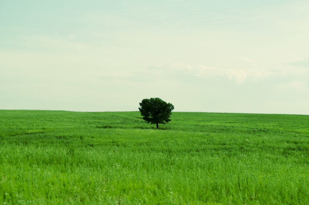 Photograph by Виктория