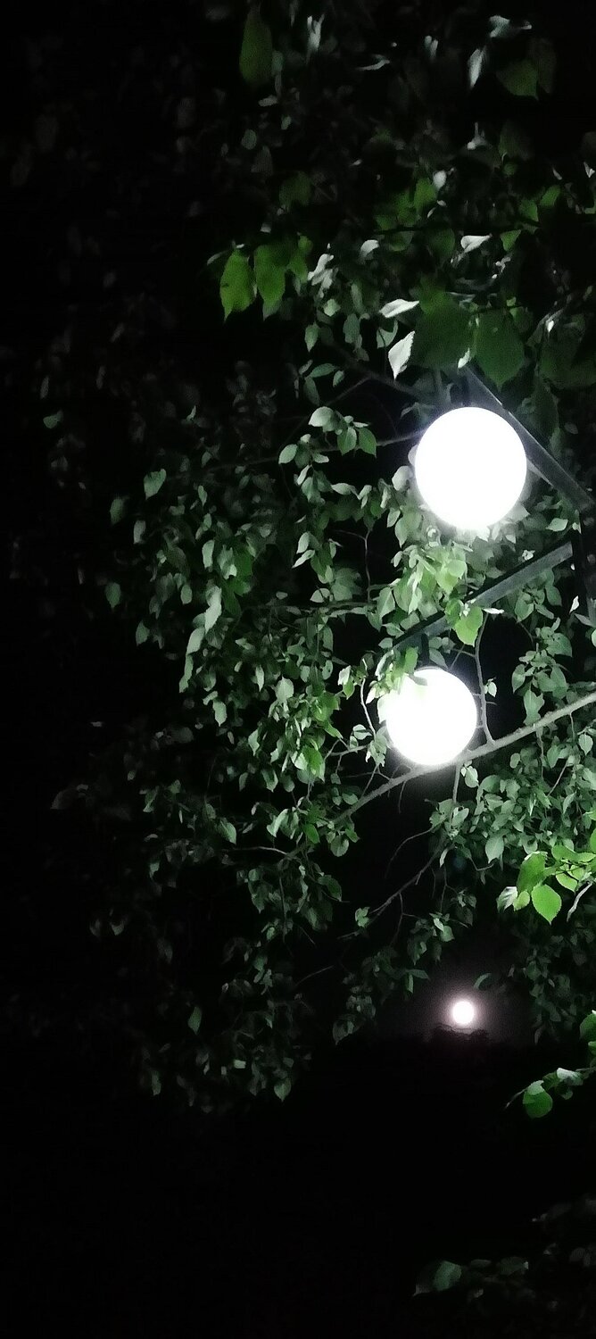 Photo #3724023