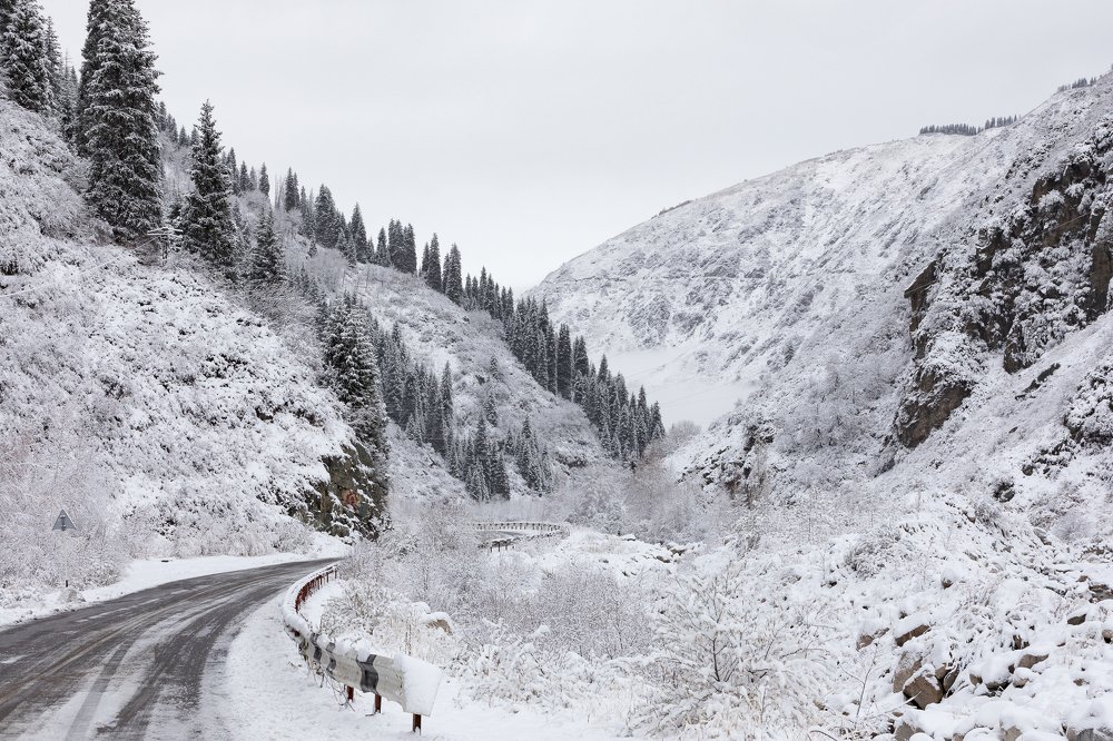 Photograph by Mikhail Azarenkov