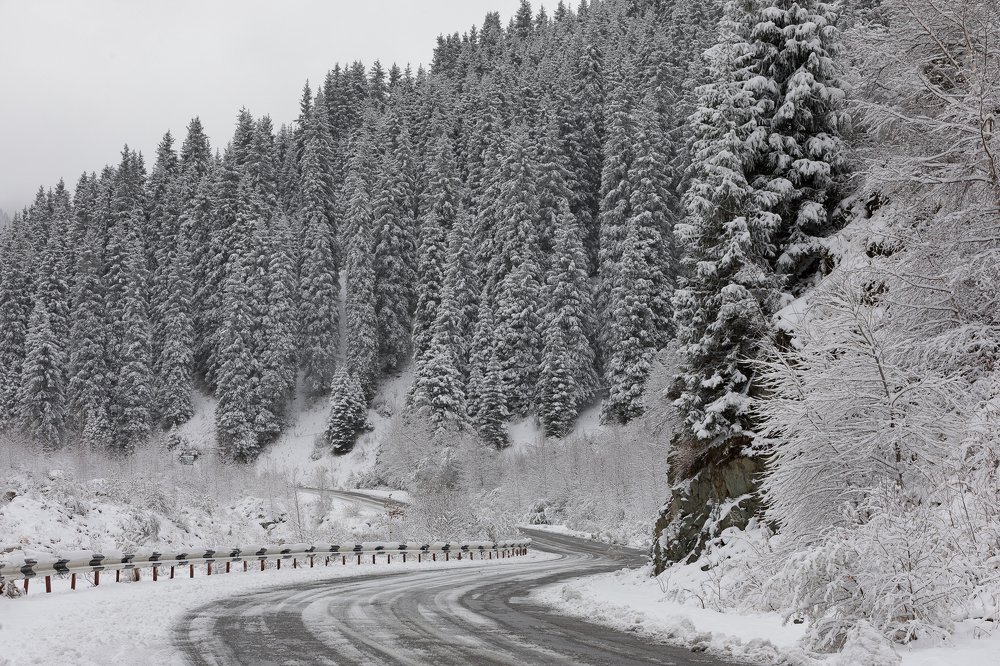 Photograph by Mikhail Azarenkov