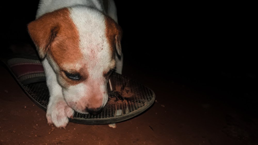 Photograph by Bhautik Lakhani