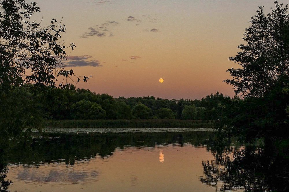 Photograph by Айшат Магомедова