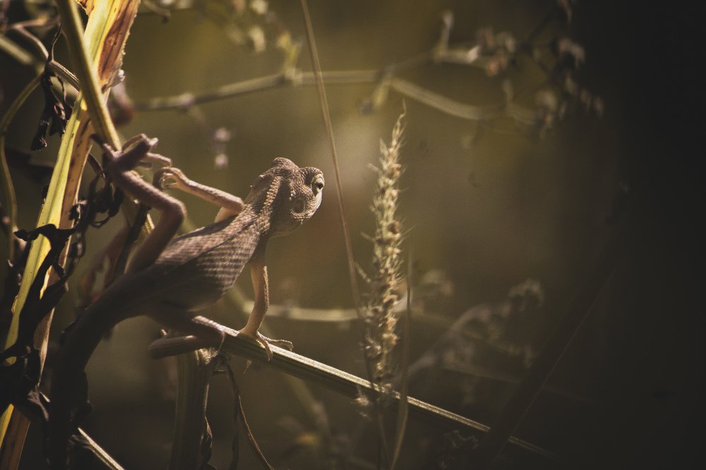 Photograph by Ayushmaan Sharma