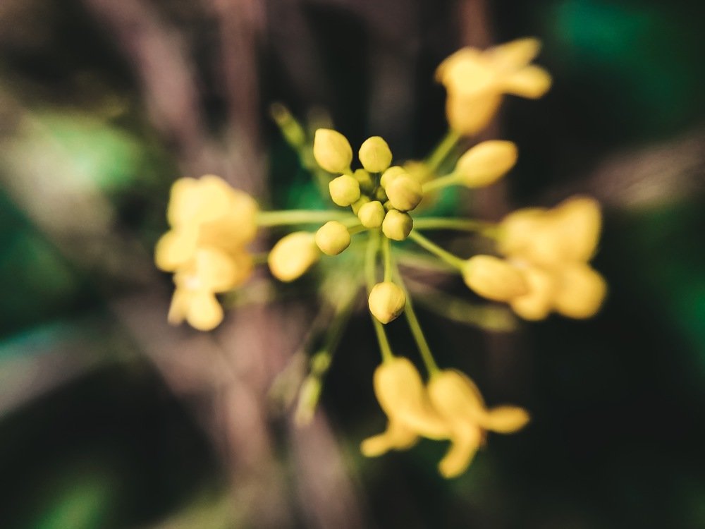 Photograph by Карина Мамлютова