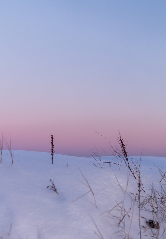 Photograph by Алексей Музалевский