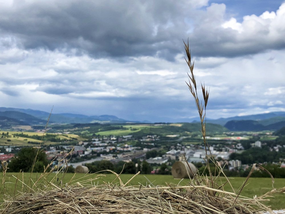 Photograph by Nastja Asipkina