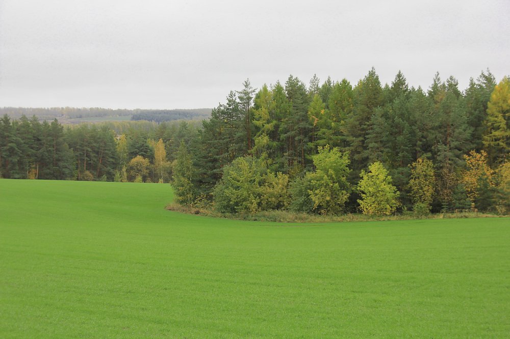 Photograph by Valery Vinnitsky