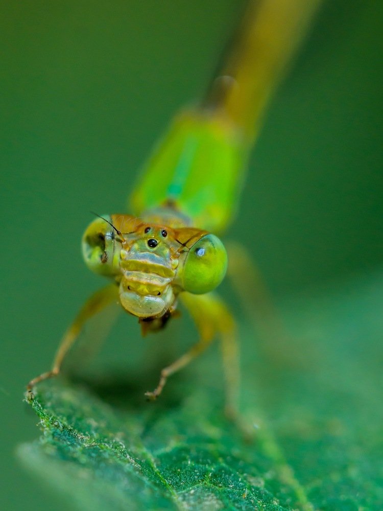 Photograph by narendra kumar pandey