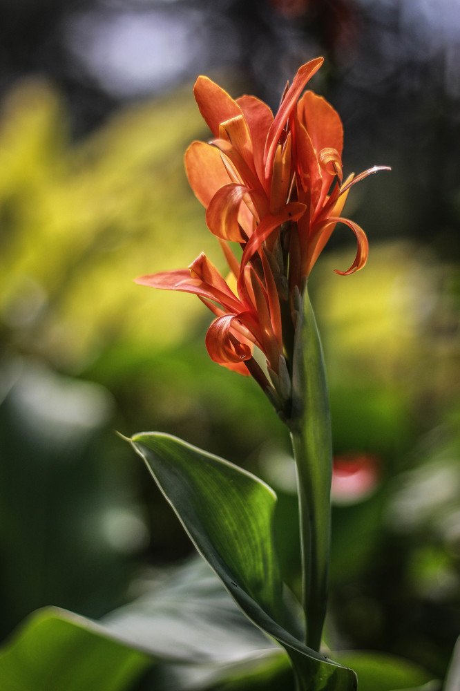 Photograph by Calvin Jeff Anzaldo