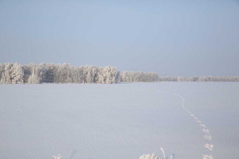 Photograph by владимир носальский