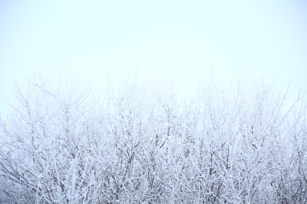 Photograph by владимир носальский