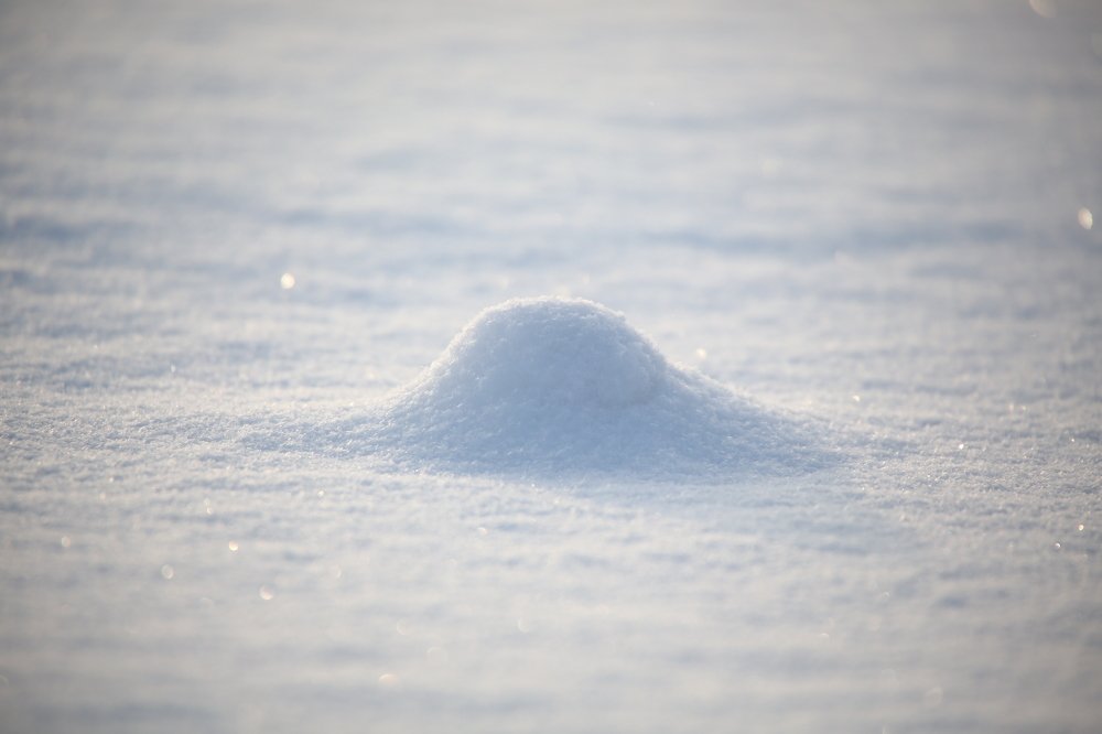 Photograph by владимир носальский