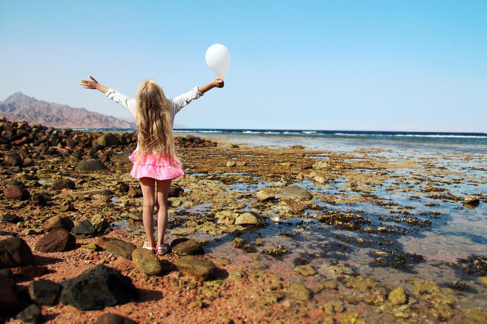 Photograph by Olena Rudenko