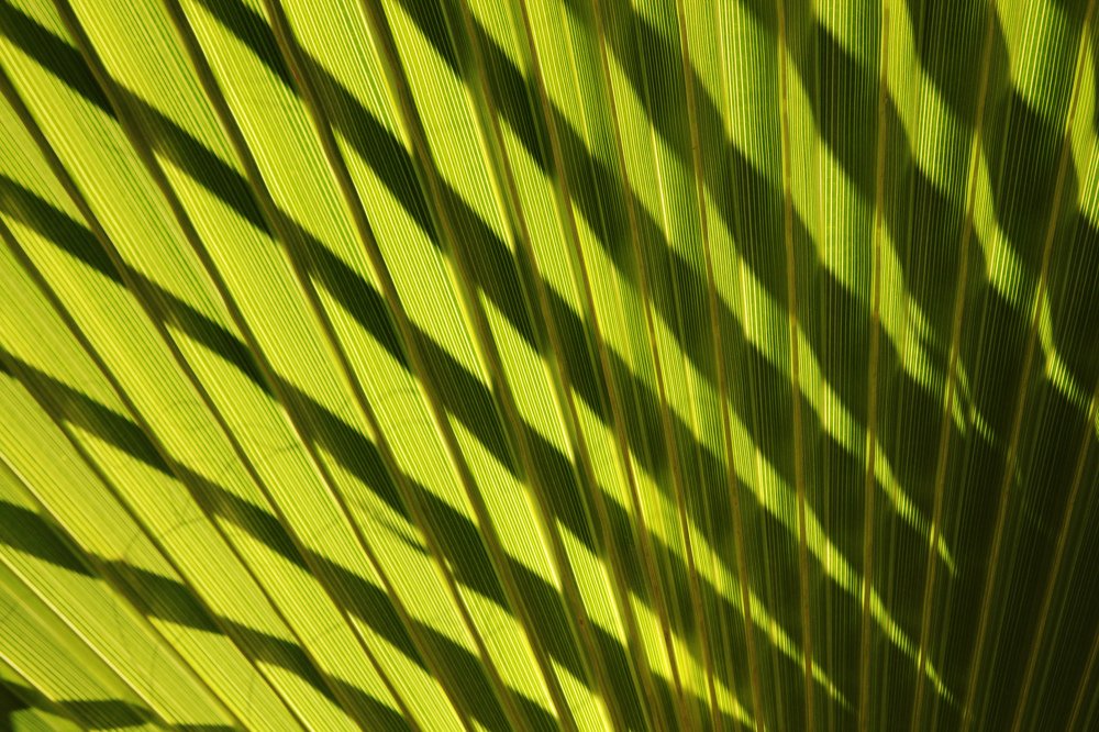 Photograph by Olena Rudenko