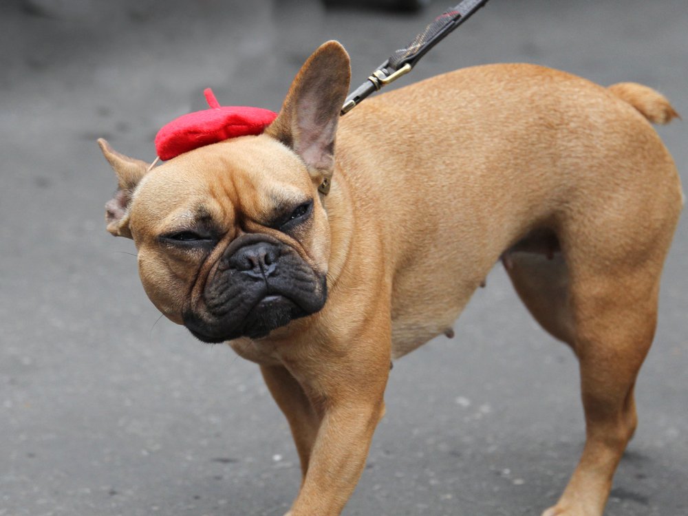 Photograph by Газетдинов Айрат