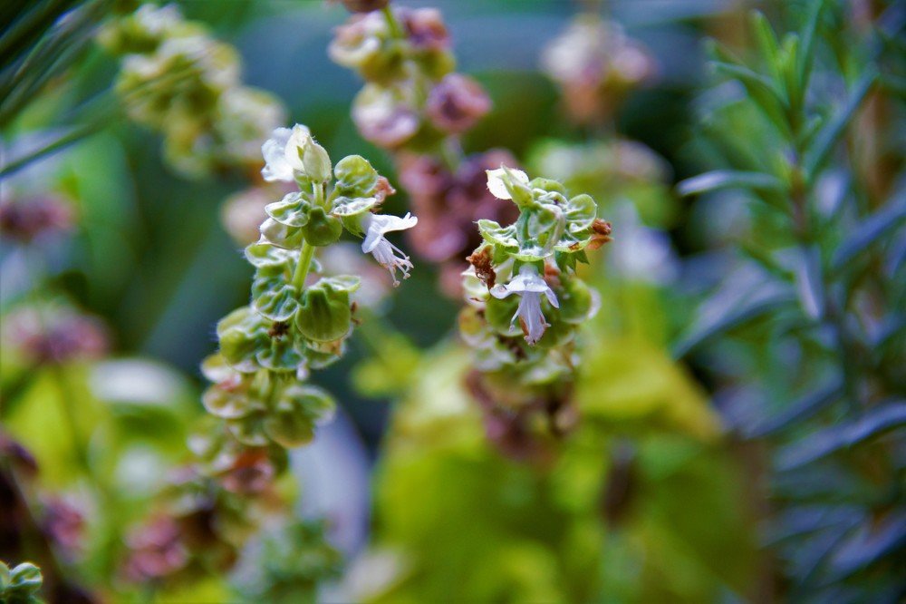 Photograph by Viktoriia Shtefanesa