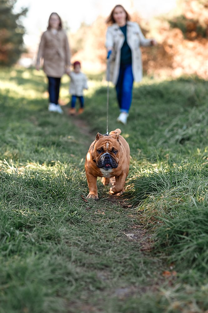 Photograph by Юлия Партола