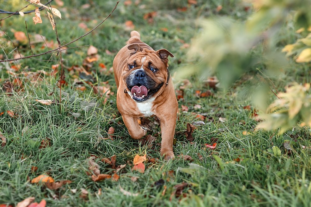 Photograph by Юлия Партола