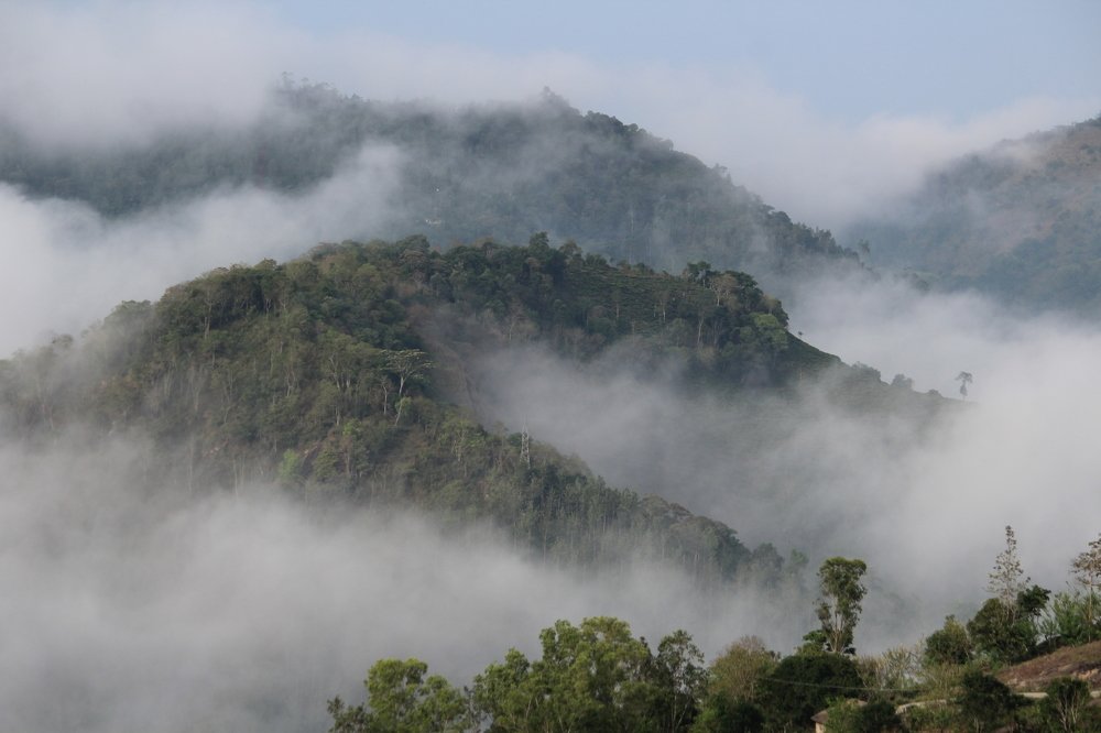Photograph by Yaswanth Ashok