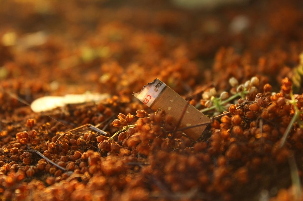 Photograph by Yaswanth Ashok
